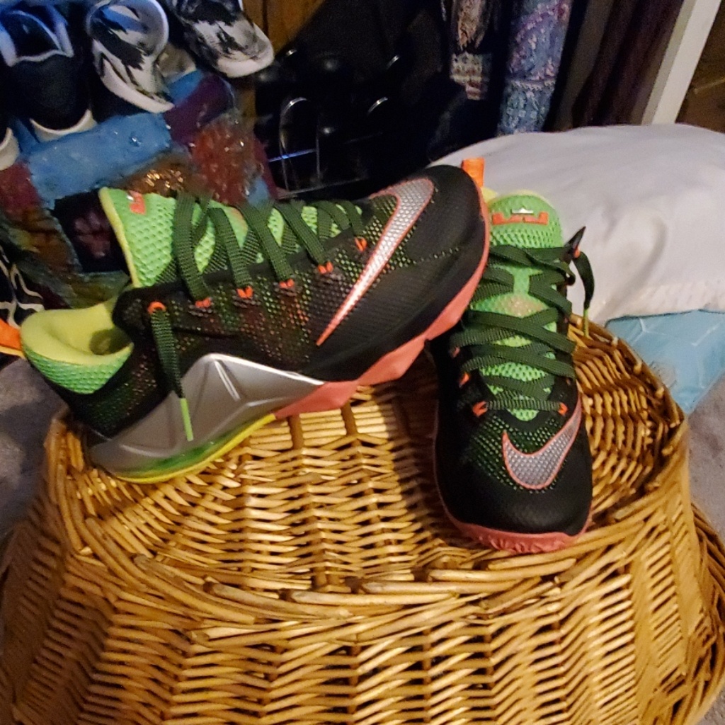 Mens Lebron's